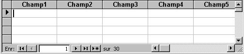 champs.jpg (13008 octets)